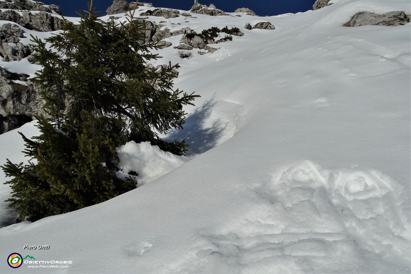 42 La traccia finisce, mi fermo qui , troppo faticoso fare da solo traccia per salire in Cima Croce !.JPG